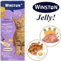 بستنی ژله ای وینستون طعم اردک و مرغ وزن 120 گرم بسته 8 عددی