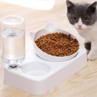 ظرف دوقلوی پایه دار گربه و سگ به همراه بطری آب