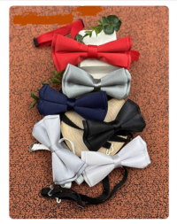 پاپيون رنگي سگ کوچک و گربه