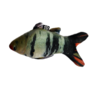 عروسک ماهی طاووسی حاوی کت نیپ