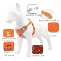 قلاده کتفی شبرنگ دیاموند سگ همراه با لید، سایز L