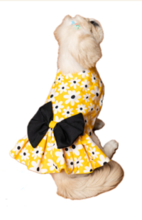 پیراهن پاپیون دار سگ نژاد کوچک