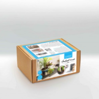 مت اسپایک مدل سافت