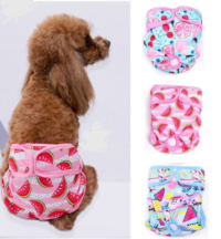 شورتکس سگ کوچک و گربه با کمری چسبی